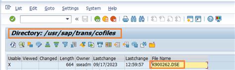 sap 777|Solved: Trans directory owned by ora<sid> .